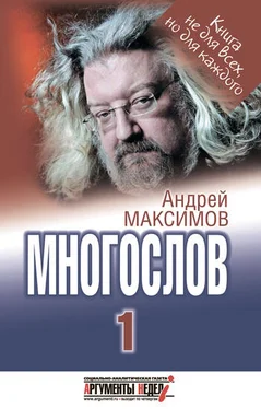 Андрей Максимов Многослов-1: Книга, с которой можно разговаривать обложка книги