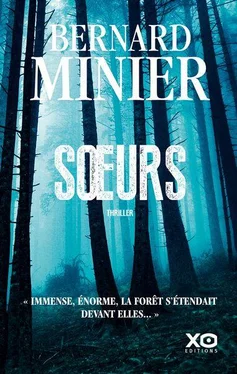 Bernard Minier Sœurs обложка книги