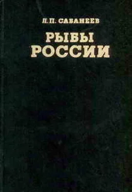 Леонид Сабанеев Рыбы России (Том второй) обложка книги