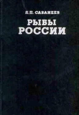 Леонид Сабанеев Рыбы России (Том первый) обложка книги