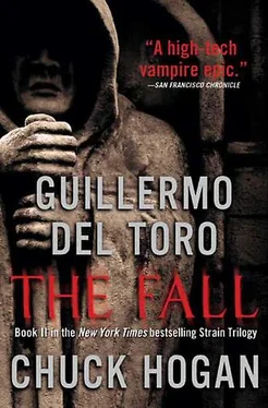 Guillermo del Toro The Fall. Book II of The Strain Trilogy обложка книги