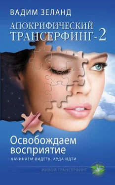 Вадим Зеланд Освобождаем восприятие: начинаем видеть, куда идти обложка книги