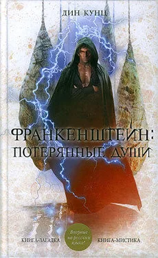 Дин Кунц Потерянные души обложка книги