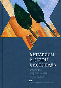 Шмуэль-Йосеф Агнон Кипарисы в сезон листопада обложка книги