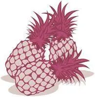 MAKES 2 SERVINGS HG Tip Feel free to use an indoor or outdoor grill for - фото 226