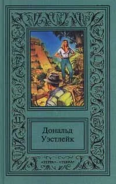 Дональд Уэстлейк Лазутчик в цветнике обложка книги