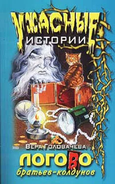 Вера Головачёва Логово братьев-колдунов обложка книги