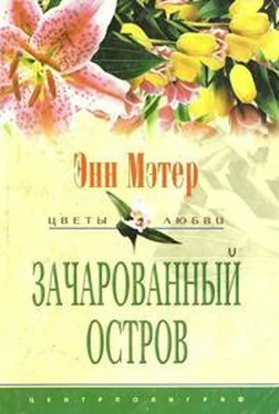 Энн Мэтер Зачарованный остров обложка книги