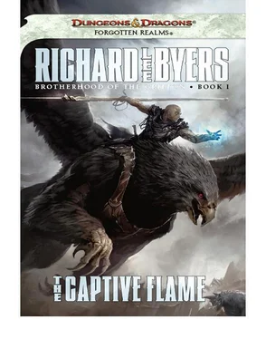 Richard Byers The Captive Flame обложка книги