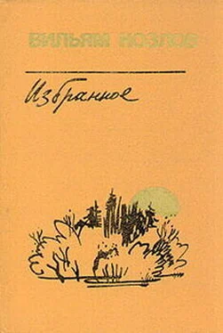 Вильям Козлов Едем на Вял-озеро обложка книги