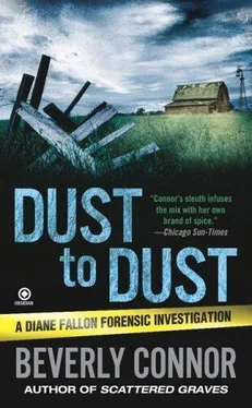 Beverly Connor Dust to Dust обложка книги