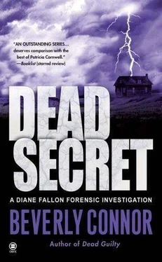 Beverly Connor Dead Secret обложка книги