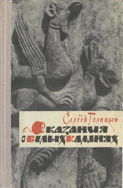 Сергей Голицын Сказание о белых камнях обложка книги