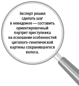 Эксперт решил сделать шаг в неведомое составить ориентировочный портрет - фото 31