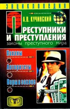 Александр Кучинский Преступники и преступления. Законы преступного мира. Паханы, авторитеты, воры в законе обложка книги