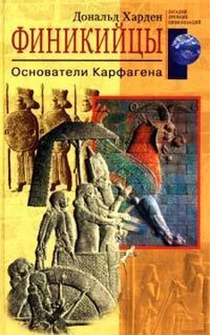 Дональд Харден Финикийцы. Основатели Карфагена обложка книги