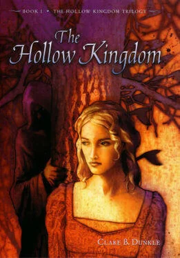 The Kingdom Clare B Dunkle - Hollow Kingdom 01 - The Hollow Kingdom обложка книги
