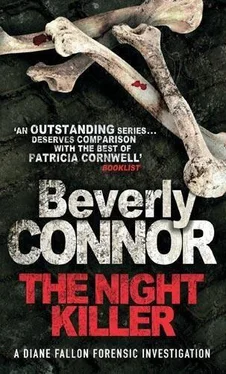 Beverly Connor The Night Killer обложка книги