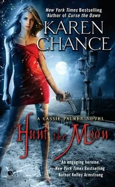 Karen Chance Hunt the Moon