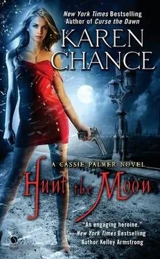 Karen Chance Hunt the Moon обложка книги