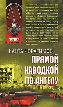 Канта Ибрагимов Прямой наводкой по ангелу обложка книги