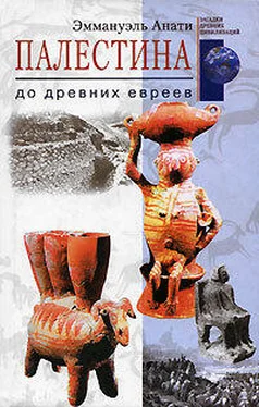 Эммануэль Анати Палестина до древних евреев обложка книги