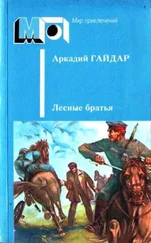 Аркадий Гайдар - Реввоенсовет