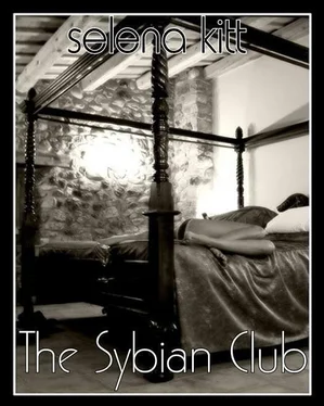 Selena Kitt The Sybian Club обложка книги