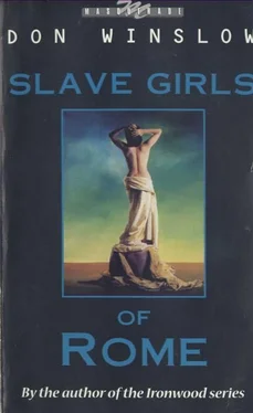 Don Winslow Slave Girls Of Rome обложка книги