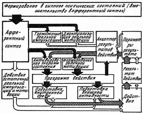 Рис 1 Принципиальная схема вмешательства в афферентный синтез в гипнотическом - фото 2