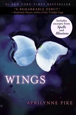 Эприлинн Пайк Wings обложка книги