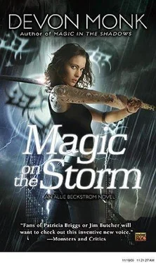 Devon Monk Magic on the Storm обложка книги