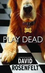 David Rosenfelt - Play Dead