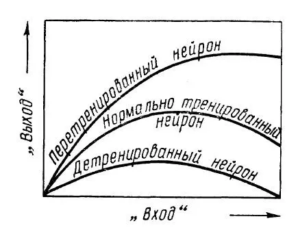 Рис 9 Статические характеристики элементов модели нейронов вход - фото 9