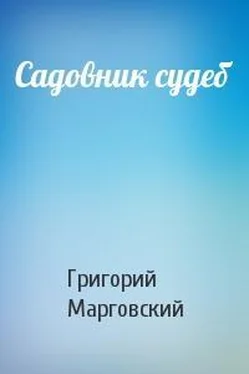 Григорий Марговский Садовник судеб обложка книги