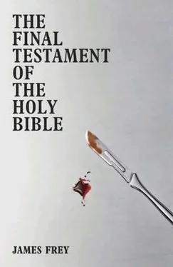 James Frey The Final Testament of the Holy Bible обложка книги