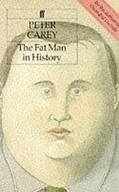 Peter Carey The Fat Man in History aka Exotic Pleasures обложка книги