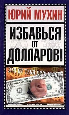 Юрий Мухин Избавься от долларов! обложка книги