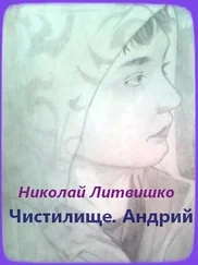 Николай Литвишко - Чистилище. Андрий [СИ]