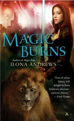 Ilona Andrews - Magic Burns