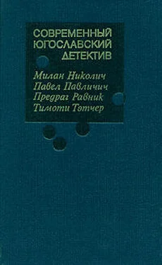 Милан Николич Современный югославский детектив обложка книги