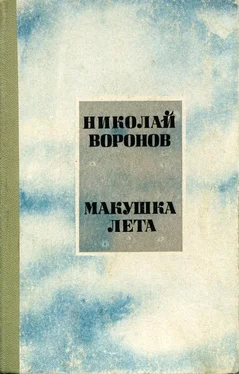 Николай Воронов Макушка лета обложка книги