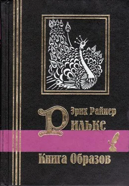 Райнер Рильке Книга образов обложка книги