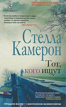 Стелла Камерон Тот, кого ищут обложка книги