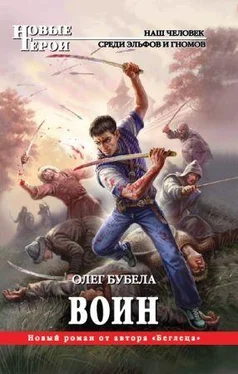 Олег Бубела Воин обложка книги