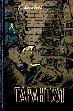 Герман Матвеев Тарантул. Повесть обложка книги