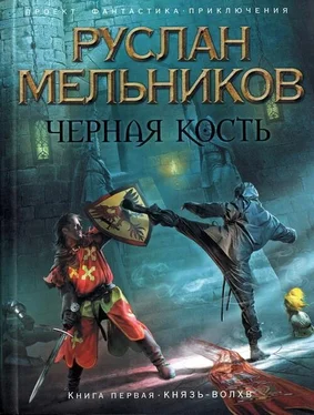 Руслан Мельников Князь-волхв обложка книги