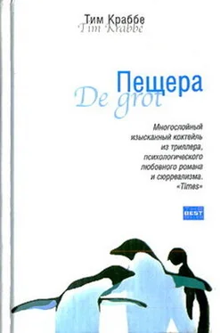 Тим Краббе Пещера обложка книги