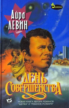 Айра Левин День совершенства обложка книги