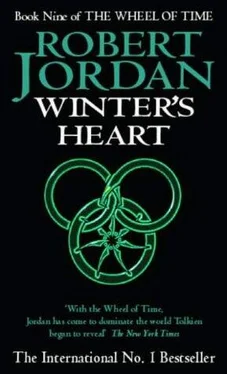 Robert Jordan Winter's Heart обложка книги